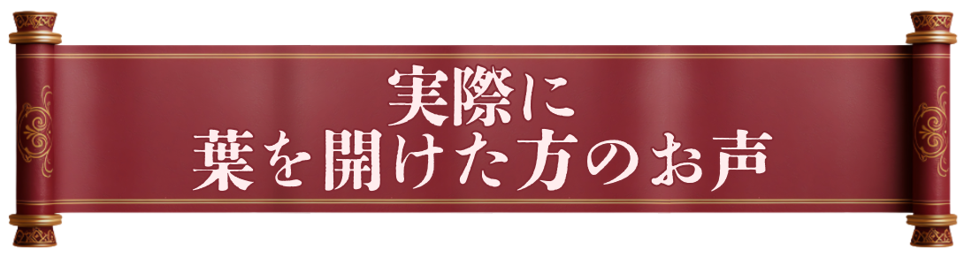 実際に葉を開けた方のお声・体験談:アガスティアの葉:agastya-leaf.com:見出し04